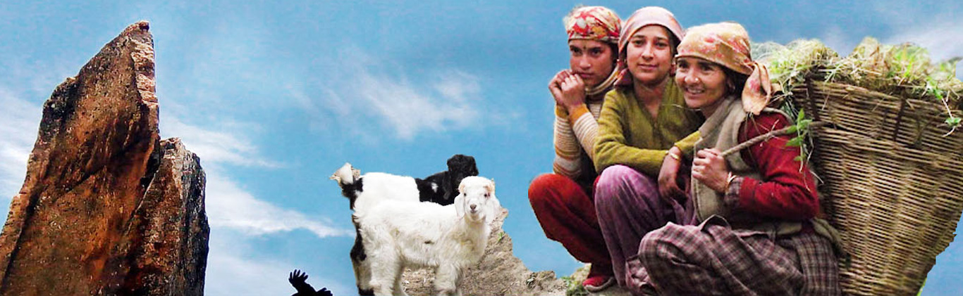 Tribal-Development-Department-3