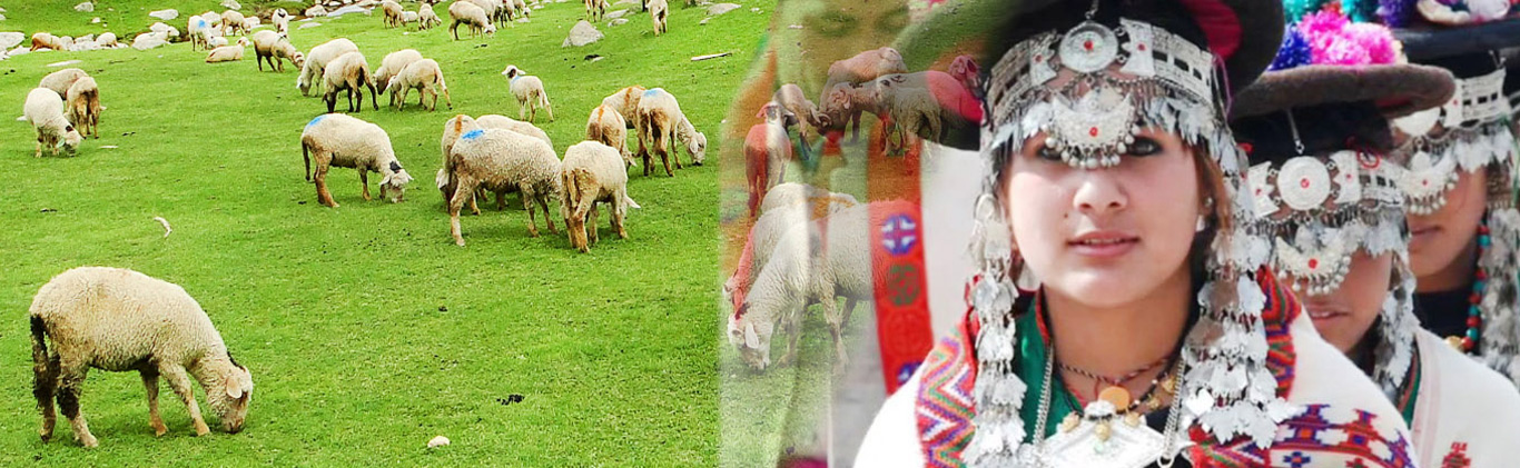 Tribal-Development-Department-2